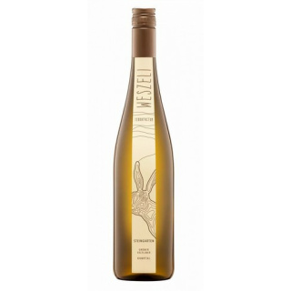 Gr&uuml;ner Veltliner Steingarten DAC Bio Jg.2021